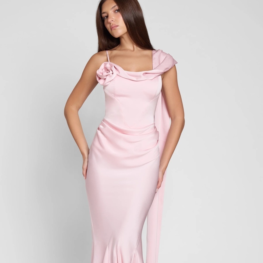 Leau pale powder pink Celine Corset Drape Satin Gown maxi dress - Small NWT